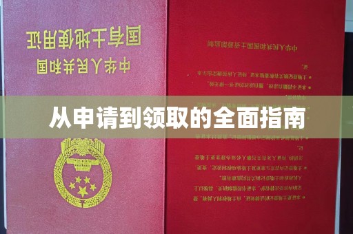 桓仁从申请到领取的全面指南