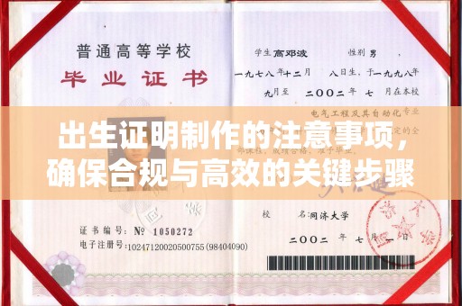 桓仁出生证明制作的注意事项，确保合规与高效的关键步骤