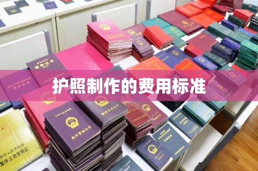 桓仁护照制作的费用标准