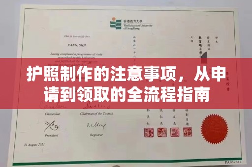 桓仁护照制作的注意事项，从申请到领取的全流程指南